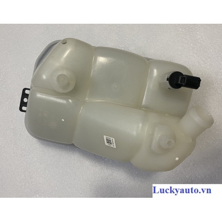 Bình nước phụ xe Mercedes E200, E220, E230, E270 W211_ 2115000049- 1314700500 